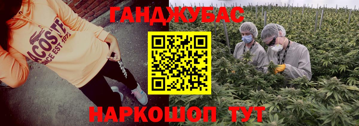 Бошки Шишки семена  Бошки марихуана VHQ  Вход с VPN  Бошки Шишки семена  Каннабис индика  Нурлат 